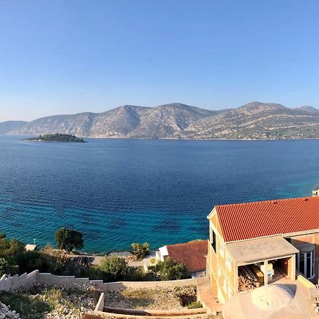 Apartments Mare Kneza Bagian luar foto